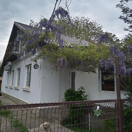 Casa Mocanu Giurgiu Екстер'єр фото