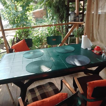 Casa Mocanu Giurgiu Екстер'єр фото