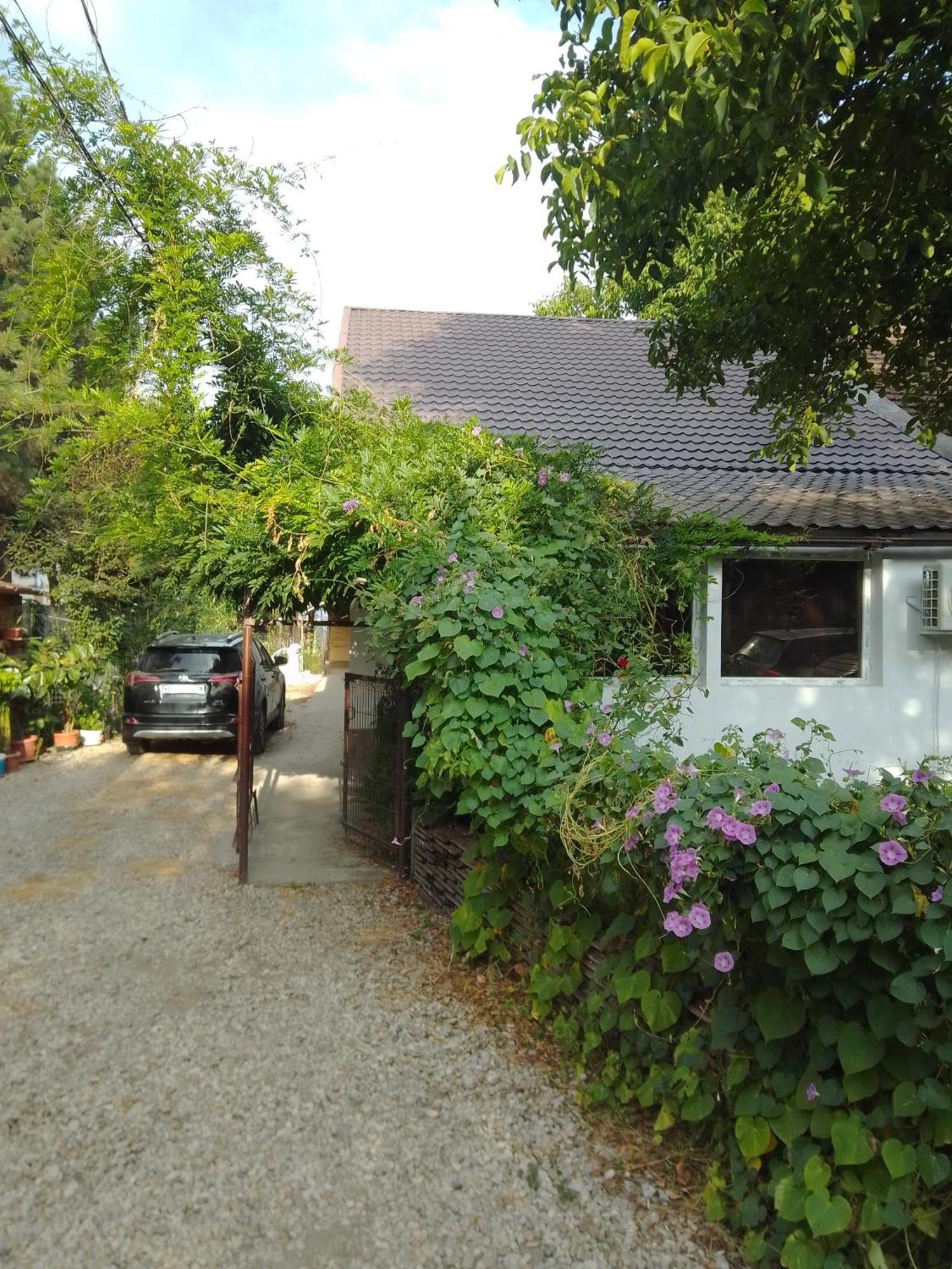 Casa Mocanu Giurgiu Екстер'єр фото